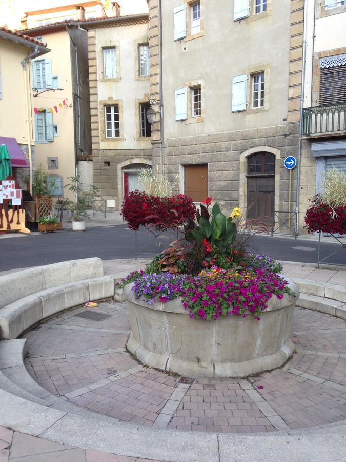 Bed and Breakfast L'Arche Des Chapeliers Foix Esterno foto